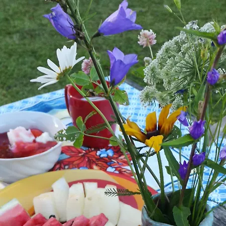 Tatil Evi Dvinumajas *
