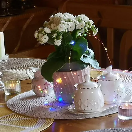 Tatil Evi Dvinumajas *
