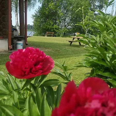 Holiday home Dvinumajas
