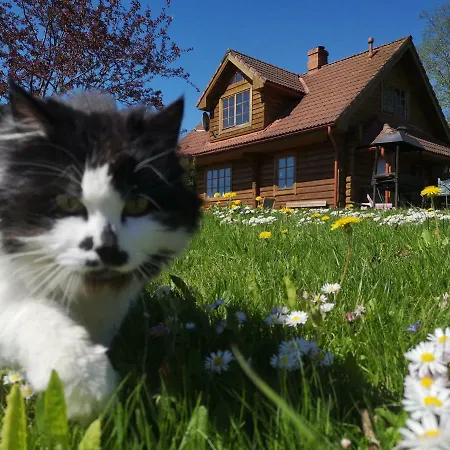 Dvinumajas