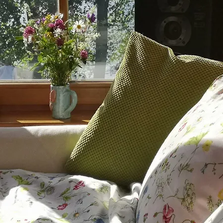 Tatil Evi Dvinumajas